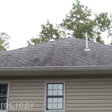 Whippany New Jersey Roof Cleaning 6